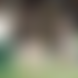 Fluminense encerra jejum e bate Palmeiras de virada no Brasileirão
