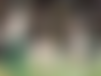 Fluminense encerra jejum e bate Palmeiras de virada no Brasileirão