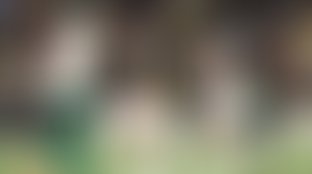 Fluminense encerra jejum e bate Palmeiras de virada no Brasileirão