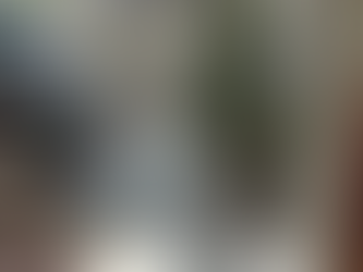 Operação recupera mais de R$ 1,33 milhão referente a fraudes no IPVA de veículos híbridos e elétricos em Goiás