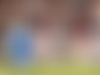 Flamengo bate Botafogo no Nilton Santos e continua na vice-liderança