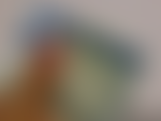 Preço da CNH em Goiás pode cair para R$ 632 se autoescola deixar de ser obrigatória