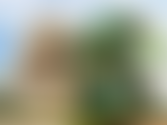 IF Goiano tem quase 300 vagas gratuitas para mestrado e doutorado pelo Estado