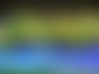 CBF anuncia amistosos da seleção brasileira contra Japão e Coreia do Sul