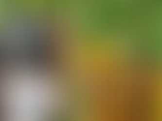 PM apreende munições de fuzil e rádios usados por traficantes em Aparecida