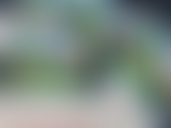 Mega da Virada 2023: tudo o que você precisa saber sobre o maior prêmio da loteria brasileira