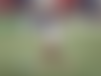 Wallace Yan inicia trabalho com coach que ajudou Luiz Henrique e quer retomada após bronca no Flamengo