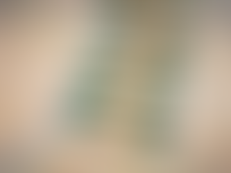 Mega-Sena pode pagar R$ 55 milhões neste sábado