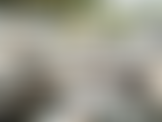 IPVA 2026: Veja cronograma para pagamento com desconto, em Goiás