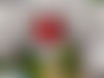 Vestibular da UEG acontece neste domingo