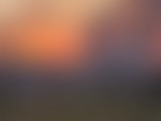 Prejuízo de até R$ 1,5 bilhão e ameaça à biodiversidade: queimadas crescem mais de 130% em Goiás em 2024