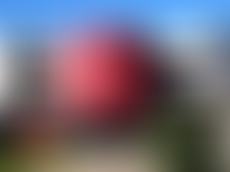 UEG abre inscrições para concurso com mais de 80 vagas e salário de até R$ 3,9 mil