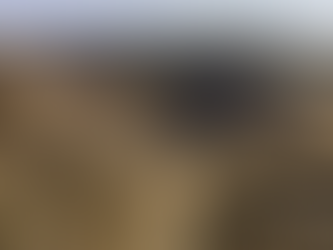 R$ 2,7 bilhões: venda de minas de níquel em Goiás levanta disputa e investigação do Cade