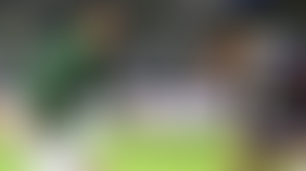 Palmeiras busca vaga nas quartas e recuperação contra o Cerro Porteño