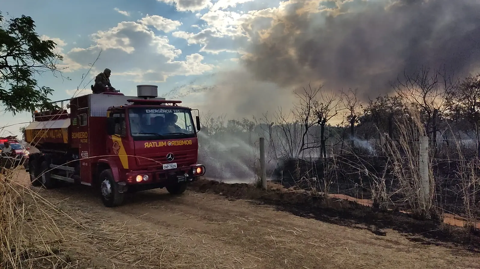 Bombeiros entram no 5º dia de combate a incêndio no Nordeste de Goiás