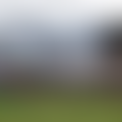 Campeonato Mineiro: rodada deste sábado (14/2) define semifinalistas