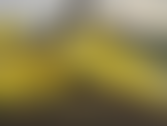 Avião capota durante o pouso devido a fortes ventos em Quirinópolis