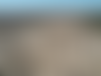 Semad flagra 365 hectares de desmatamento e evita destruição de outros 1,7 mil em Flores