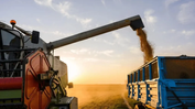 Recuperação judicial de empresas do agro cresce 66% em um ano no Brasil