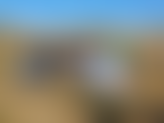 Motorista de app é encontrado esfaqueado em milharal após ser roubado