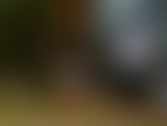 Queimadas em Goiás crescem 152% em apenas uma semana