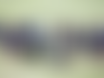 Sem Neymar, Santos treina e se prepara para enfrentar o São Paulo