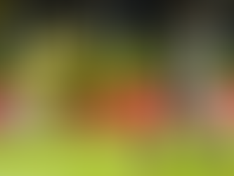 Mirassol despacha Ceará e segue no G-4 do Campeonato Brasileiro