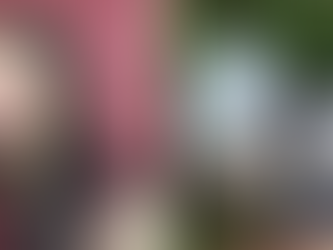 Acidente mata missionária e deixa marido e filhos feridos na BR-070