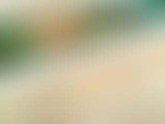 Mega-Sena adiada para sexta-feira (14); prêmio estimado é de R$ 100 milhões