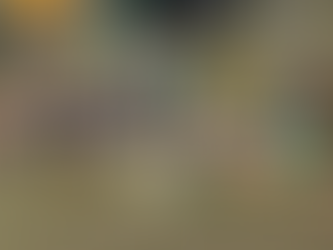 Polícia Civil apreende vários cigarros eletrônicos contrabandeados e prende dupla de estrangeiros, em Goiania