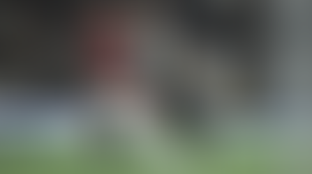 Com Flamengo x Atlético-MG, dois jogos encerram a 32ª rodada do Brasileirão