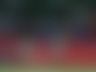 Palmeiras atropela River Plate e vai para as semis da Libertadores