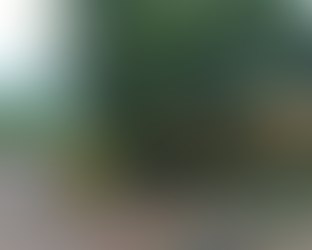 Funcionários de usina que morreram atingidos por raio estavam em local de difícil acesso, dizem bombeiros