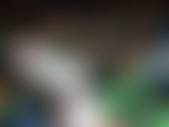 Mais de 80 idosos participam de formatura do curso de inclusão digital em Goiás