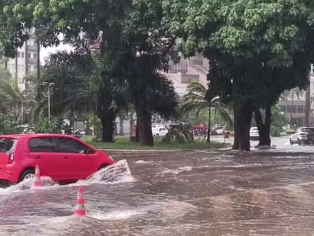 Chuva forte e ventos de até 44 km derrubam árvores, alagam ruas e deixam pessoas ilhadas em Goiânia