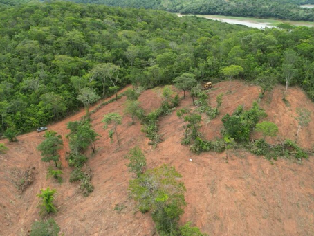 Desmatamento cai 48,8% em Goiás e chega a menor número desde 2001