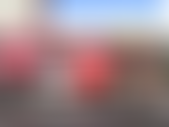 Divulgadas crianças selecionadas para o Programa Bombeiro Mirim em Goiás