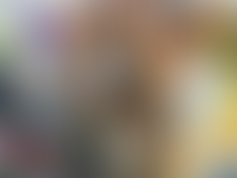 Suspeito de furtar três comércios de Goianésia é preso