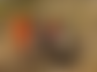 Idosa despenca 50 metros e morre ao pagar promessa durante a Romaria de Muquém