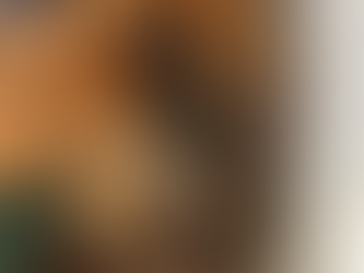 Suspeito de matar namorado da ex é preso após se esconder dentro de guarda-roupa em Gouvelândia