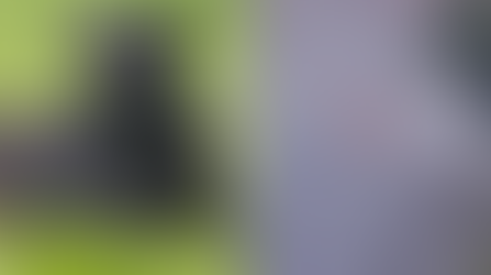 Bombeiro que atirou no cachorro Brutus é afastado da corporação