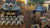 Ônibus interestadual é flagrado transportando 25 filhotes de arraia em Goiânia