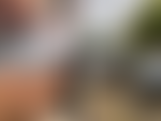 Funcionária e marido presos suspeitos de desviar R$ 3 milhões foram descobertos após auditoria em atacadista, diz delegado