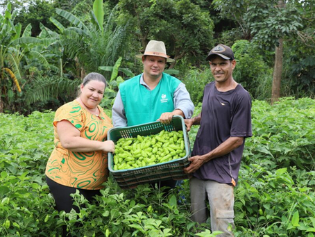 Governo de Goiás faz pesquisa para mapear a agricultura familiar no estado