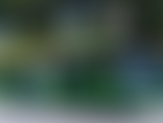 TCE-GO forma grupo para inspecionar compra de ônibus elétricos que vão rodar no Eixão