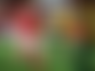 Vila Nova empata com o Cuiabá em partida frenética pela Série B