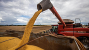 Produção goiana de grãos é a 4ª maior do Brasil e representa quase 10% da safra nacional