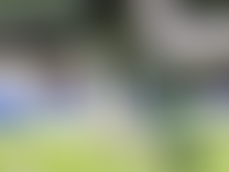 Goiás perde para a Chapecoense e termina rodada fora o G-4