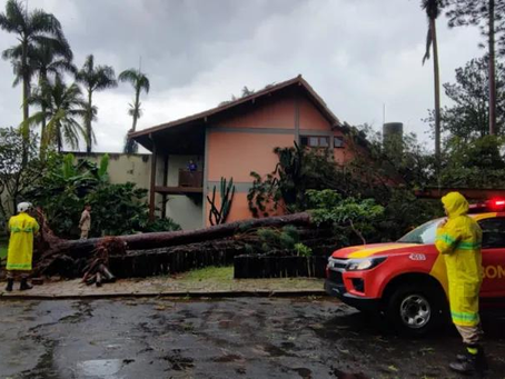 Chuva derruba doze árvores e deixa dois carros ilhados em Goiânia
