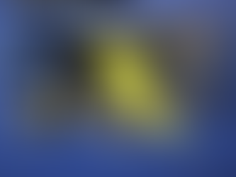 Equipe de Força Tática do 46°BPM prende homem por tentativa de feminicídio na cidade de Mineiros